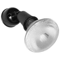 Single Lamp Holder Pack with CFL Lamp (Black)